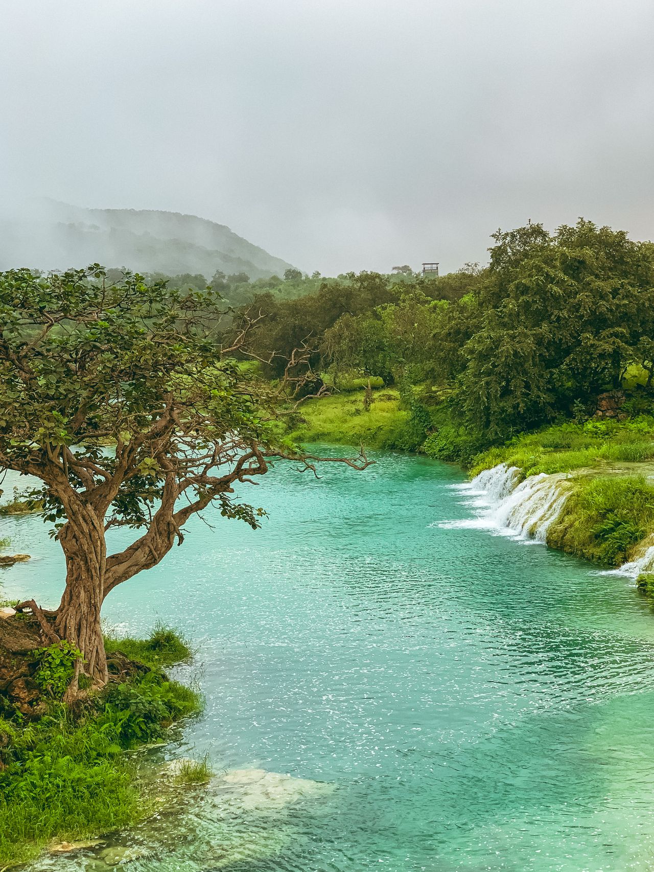 Salalah Khareef Season Guide: Sights, Weather, & Oman Travel eSIMs